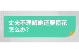 娄底娄底的要账公司在催收过程中的策略和技巧有哪些？